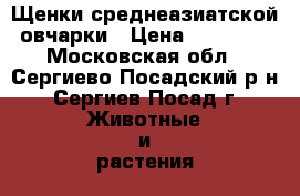Щенки среднеазиатской овчарки › Цена ­ 25 000 - Московская обл., Сергиево-Посадский р-н, Сергиев Посад г. Животные и растения » Собаки   